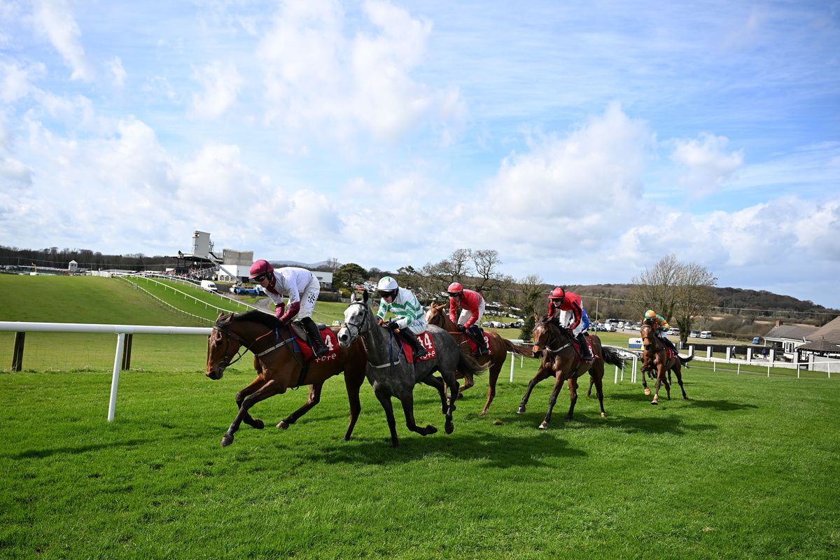Racing at Downpatrick on Saturday begins at 1.25pm