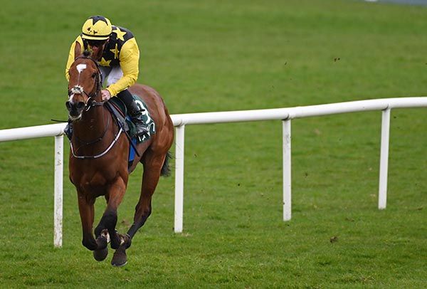 Sir Benji and Gary Carroll 