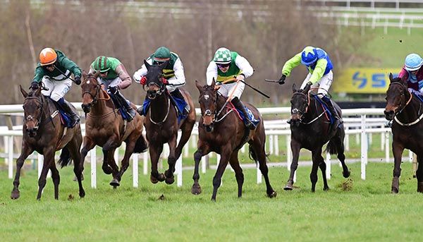 Royal Belief (centre, check cap) finishes best