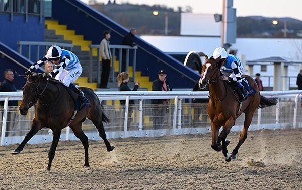 Emmeleia and Gavin Ryan 