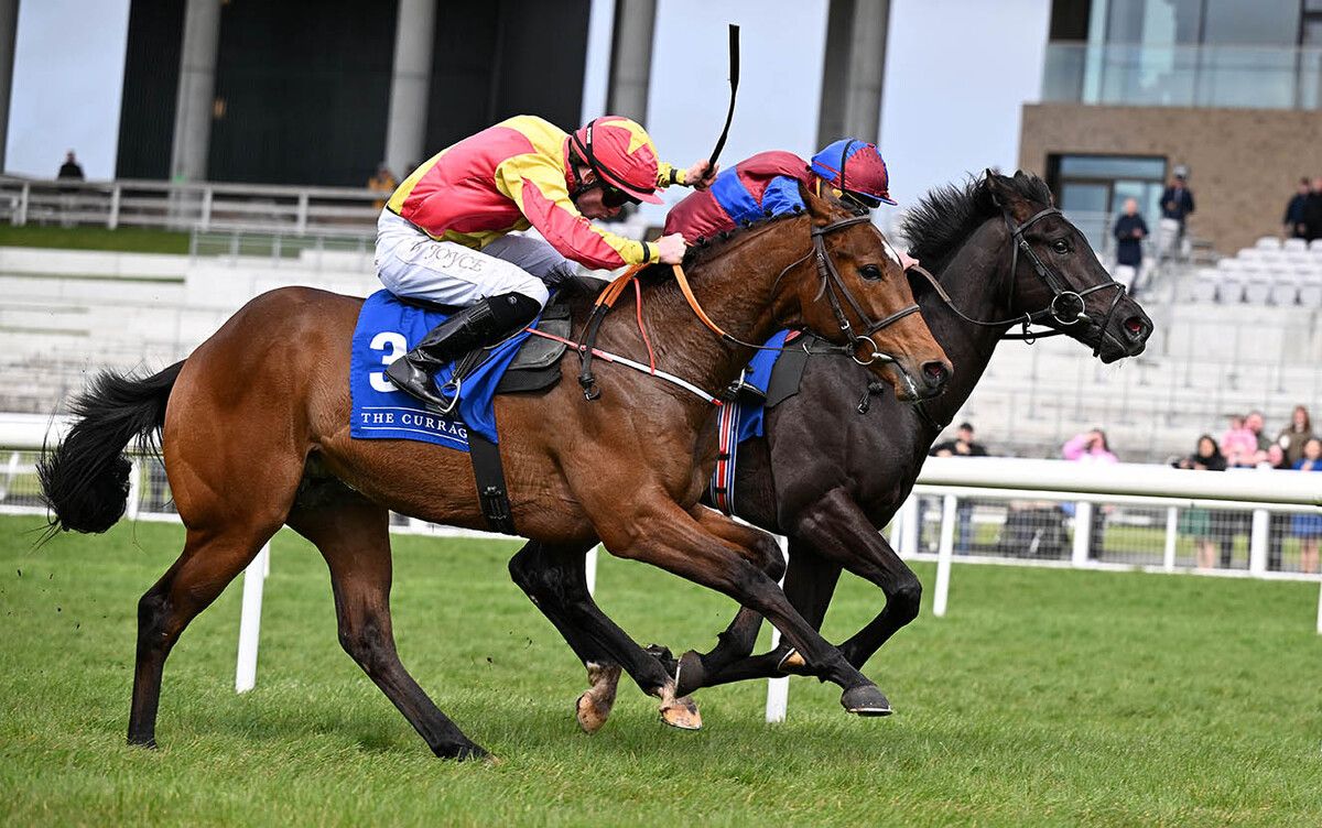 Lars Soldier and Wesley Joyce (near side) with Confucius