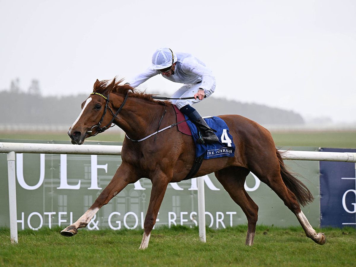 Chasing Paradise and Ben Coen