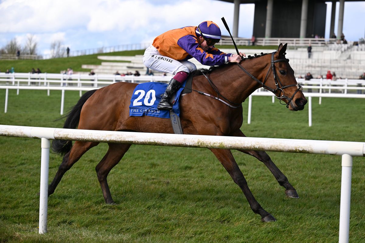 Fiver Friday and Nathan Crosse