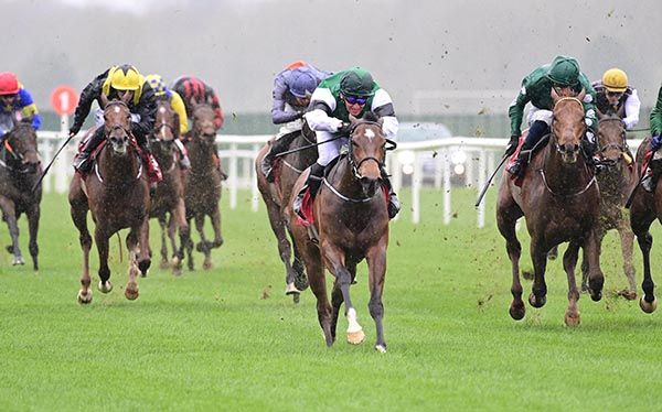 Cardiff By The Sea and Seamie Heffernan