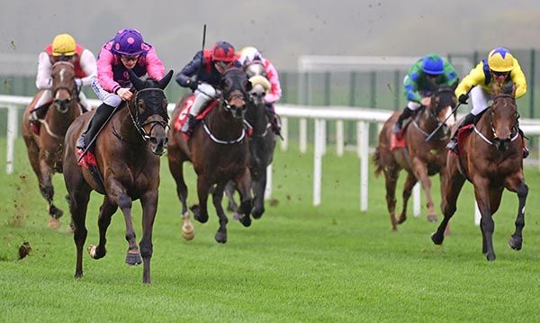 Oh Cecelia and Billy Lee 