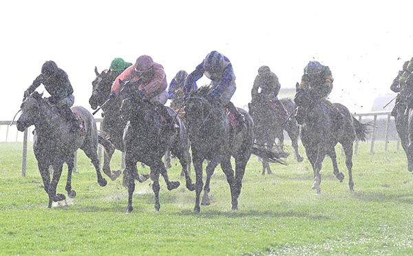 Empty Wallet and Colin Keane 