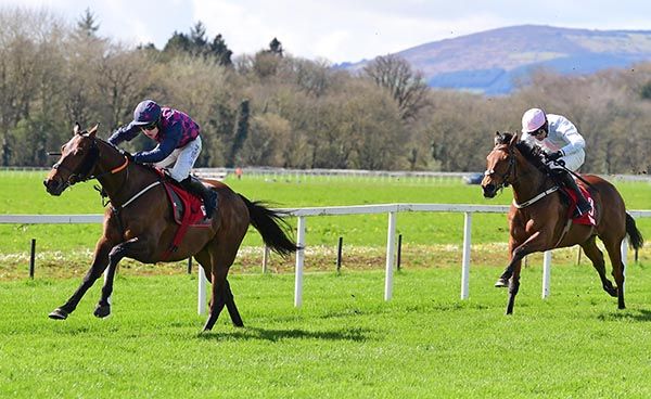 Ndaawi and Josh Williamson