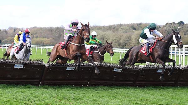 Sainte Lucie (centre) jumps the last in front of  Rockymountainbleu 