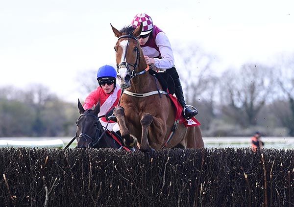 Nowwhatdoyouthink and Liam Quinlan