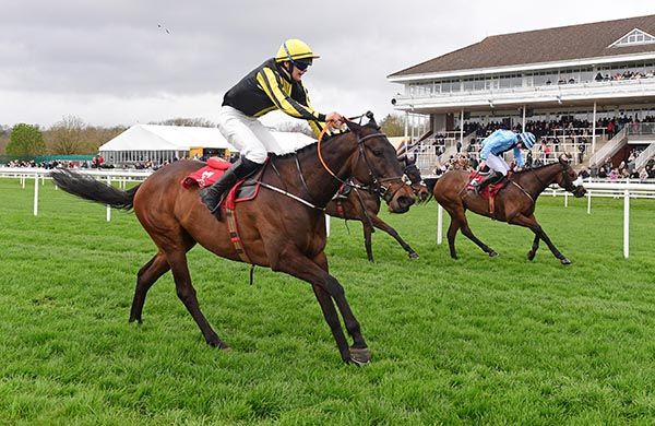 Lawful Ruler and Tadhg Stafford 