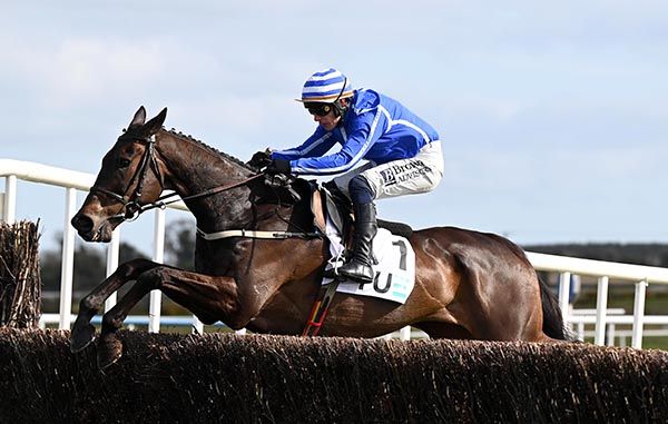 Energumene and Paul Townend 