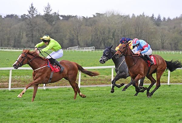 Zambezi Moon and Cal Shine 