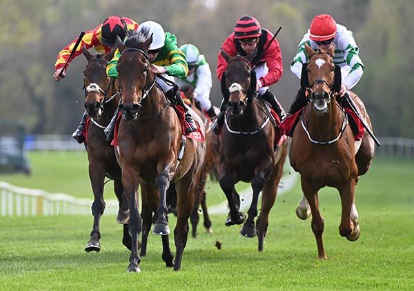 Light Up The Dark (white cap) leads them home 