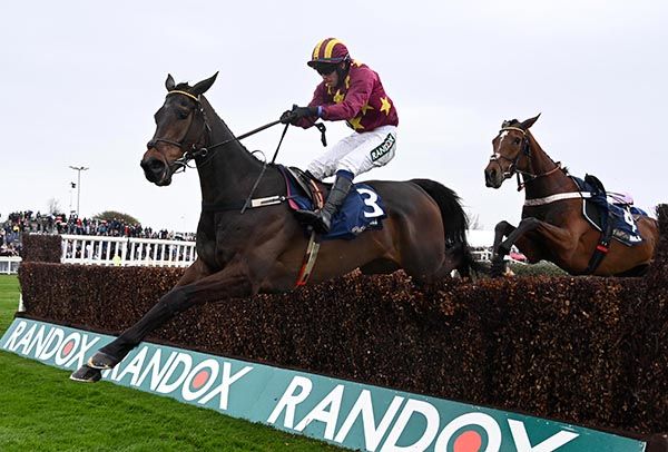 Koktail Divin and Darragh O'Keeffe win the Manifesto Novice Steeplechase Grade 1 