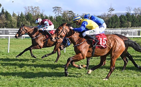 Lady Arwen and Sam Coen 