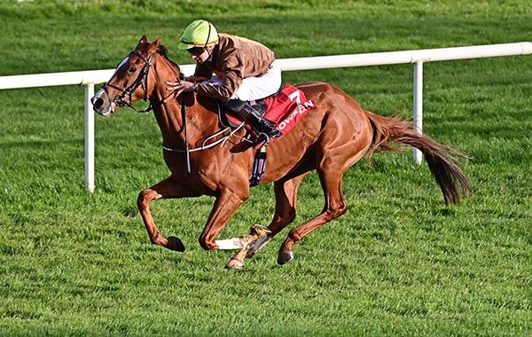 Purple Moon and Jimmy Dalton 