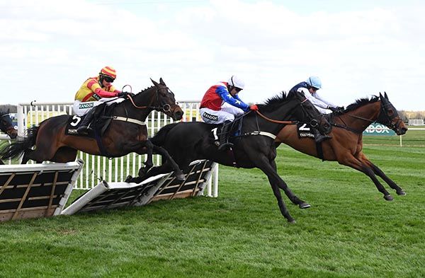 Storming George (left) and Jack Quinlan 