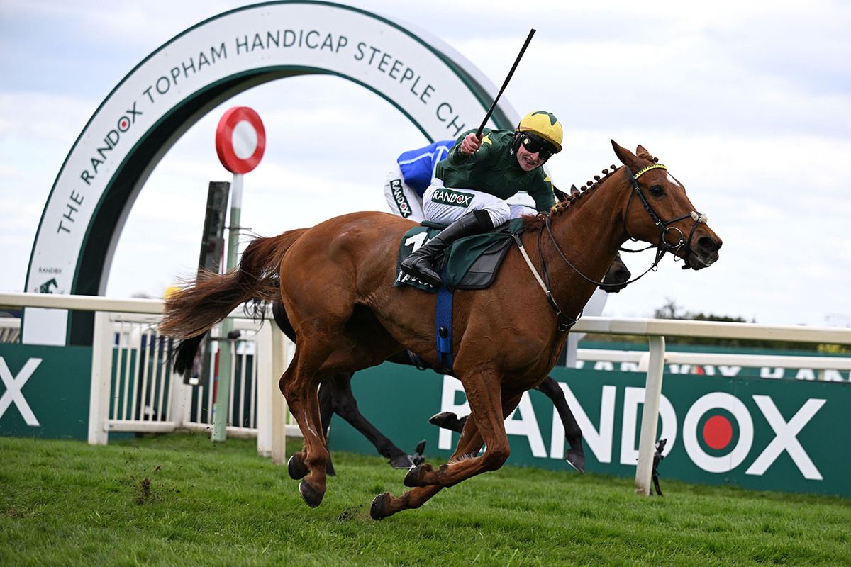 Will The Wise and Conor Stone Walsh 