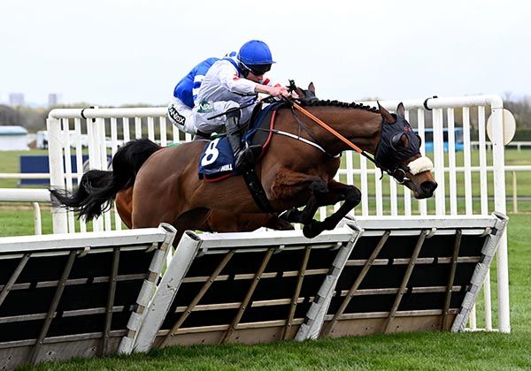 Wade Out and Gavin Sheehan 