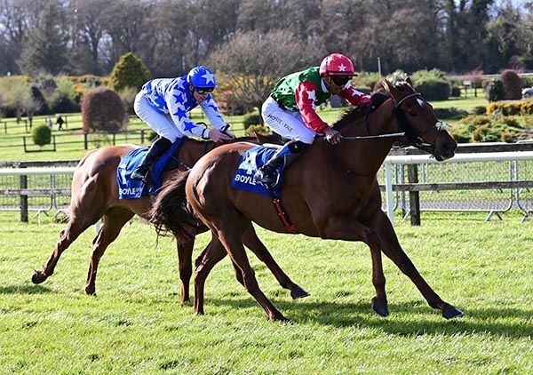 Lahore Da King is ridden out by Yudish Geerdharry