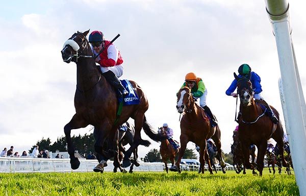 Alnofoor leads home his rivals under Jack Kearney