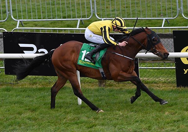 Bay Of Supremacy is ridden out by Patrick McGettigan