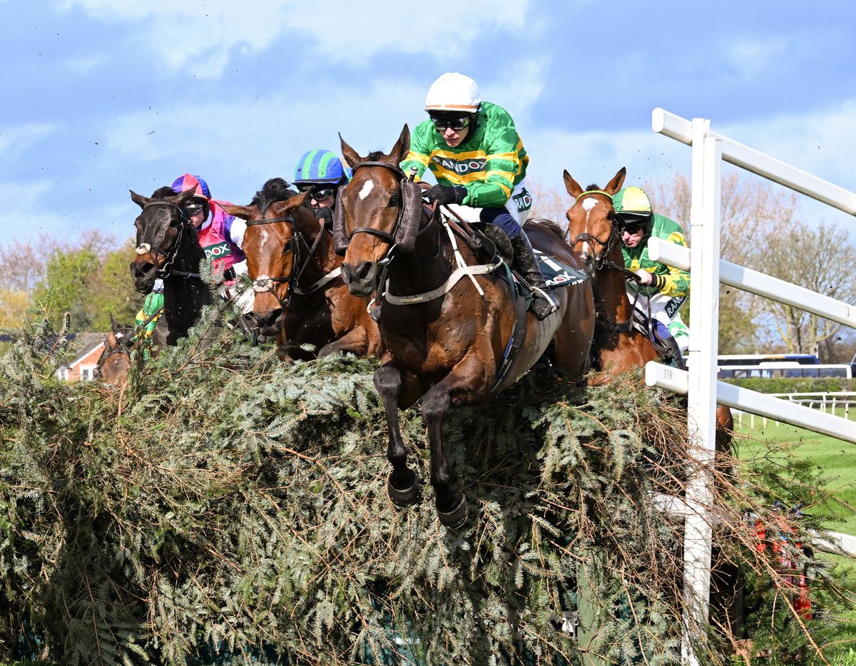 I Am Maximus and Paul Townend