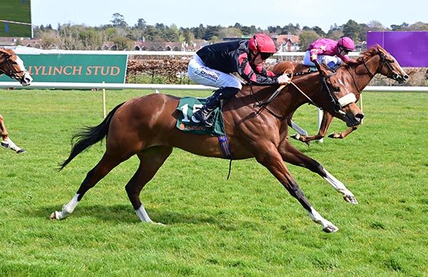 Skydance and Billy Lee (nearest) beat Thundering On 