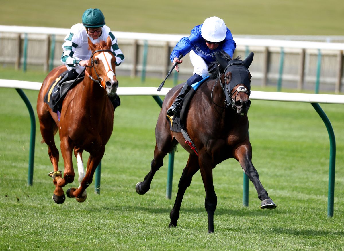 Talk Of New York and William Buick 