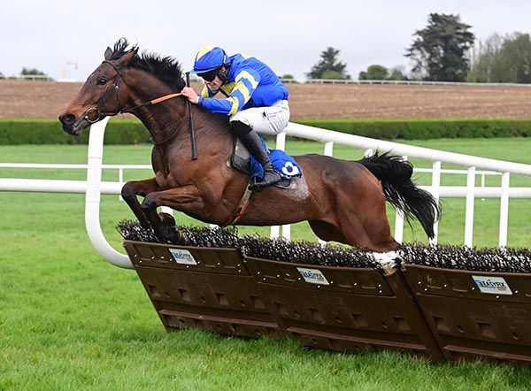 Ned In The Park and David Doyle 