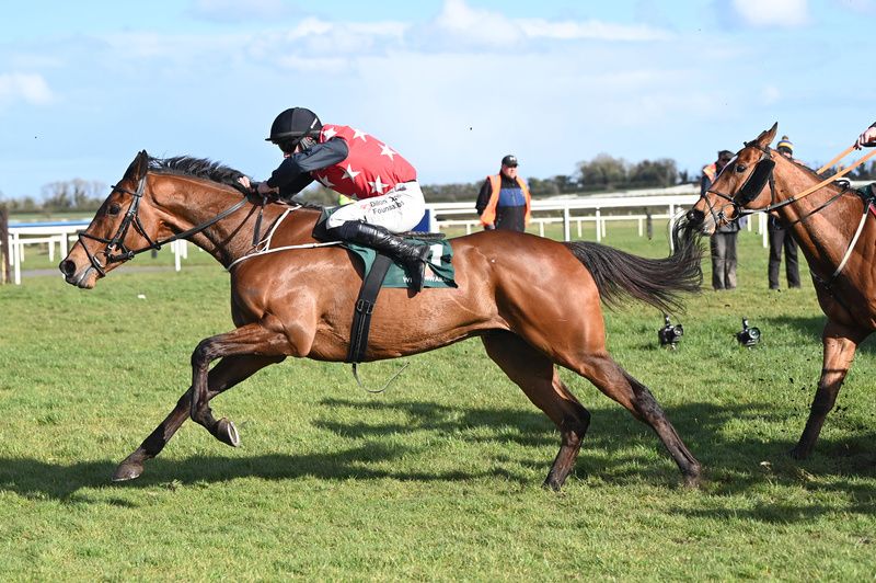 Fleur In The Park will face a strong challenge from Willie Mullins team 