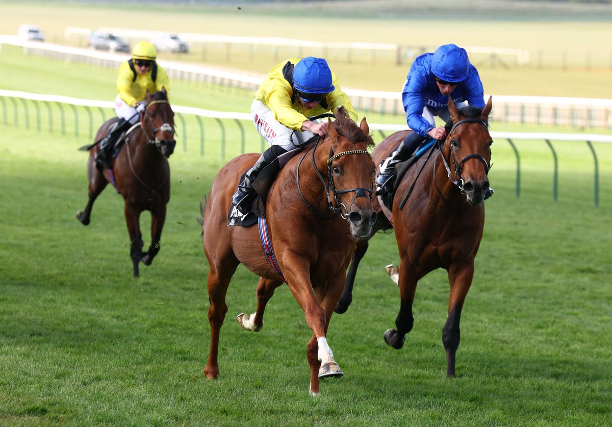 Morshdi and Tom Marquand (yellow with blue cap) 