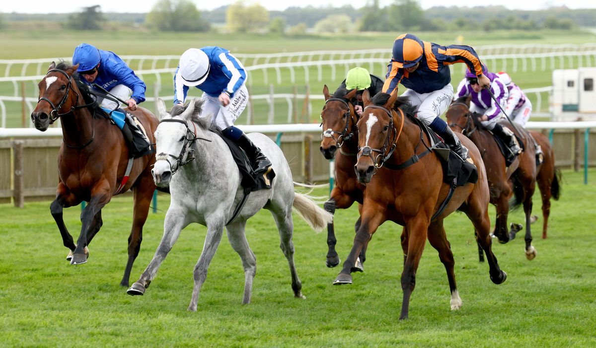 Azleet and Marco Ghiani (orange and blue)