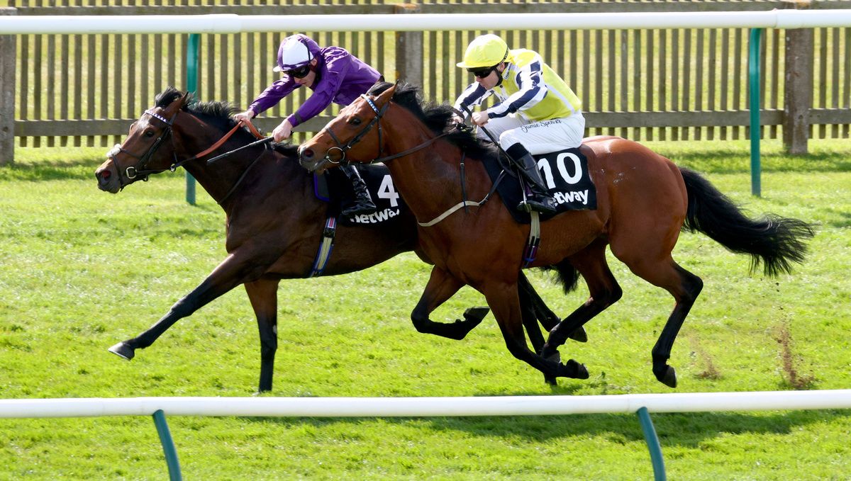 Sovereign Spell and Rowan Scott (purple)  