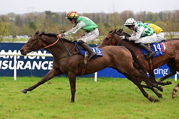 Springboard in full cry close home