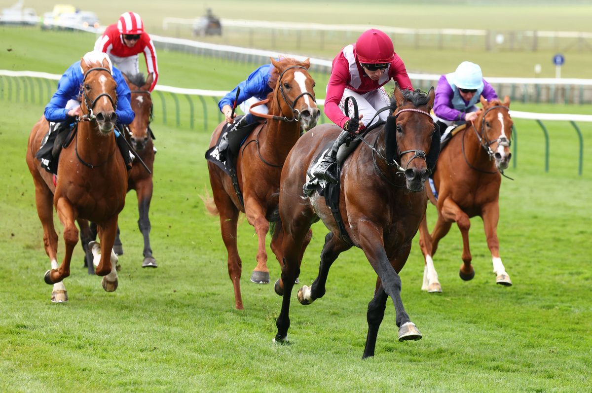 Oxagon and Oisin Murphy