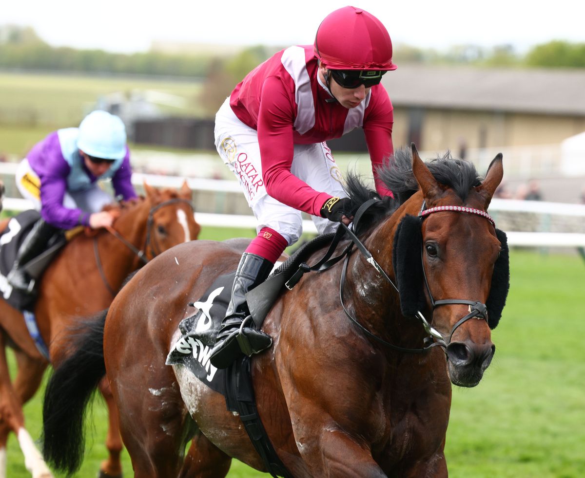 Oxagon will wear cheekpieces on his next start 