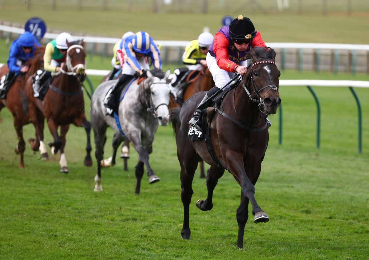 Portcullis and Ryan Moore impressed on winning debut 