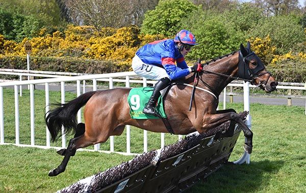 Ole Ole and Keith Donoghue pictured on their way to victory