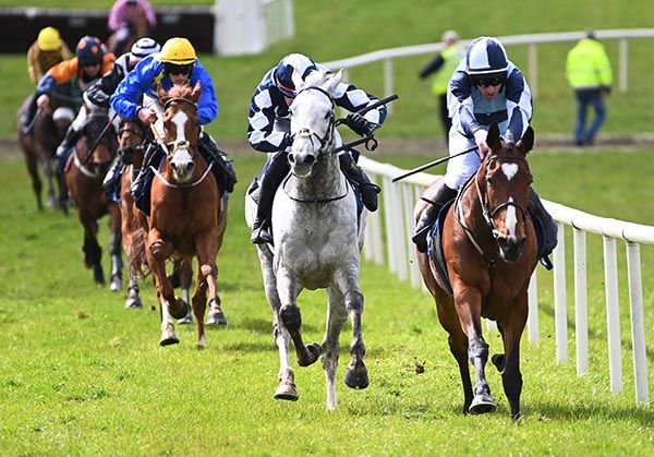 Two Pair (right) fights off the grey Kasper Hauser