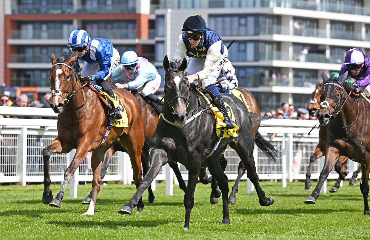 Touleen (left) was second at Newbury on Saturday 