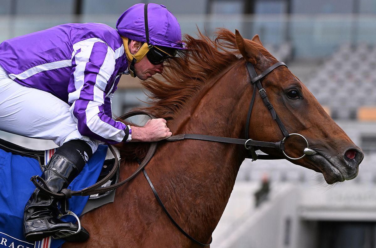 Great Barrier Reef and Ryan Moore w