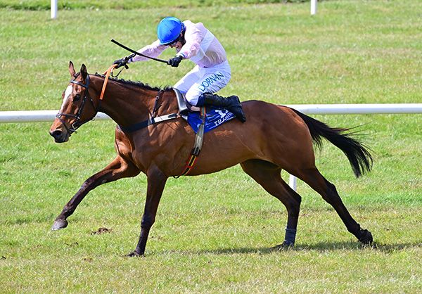 Polepatrick and Darragh O'Keeffe 