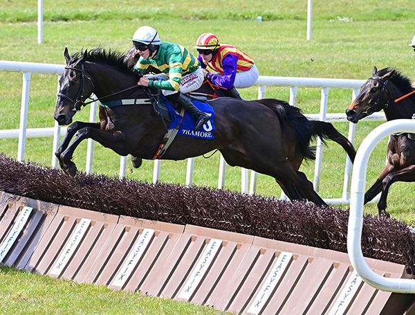 Don't Tell Jack and Charlie O'Dwyer pictured on their way to victory