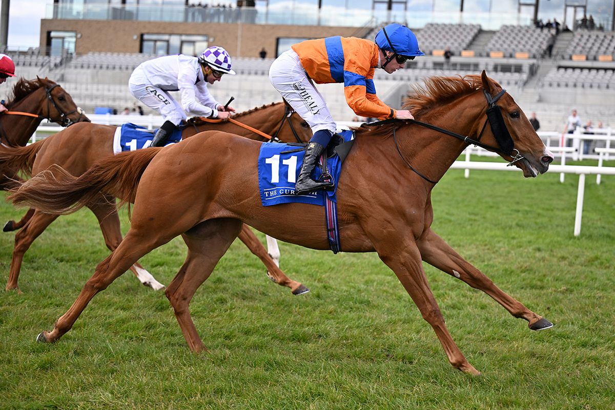 Arctic Assassin and Joey Sheridan 