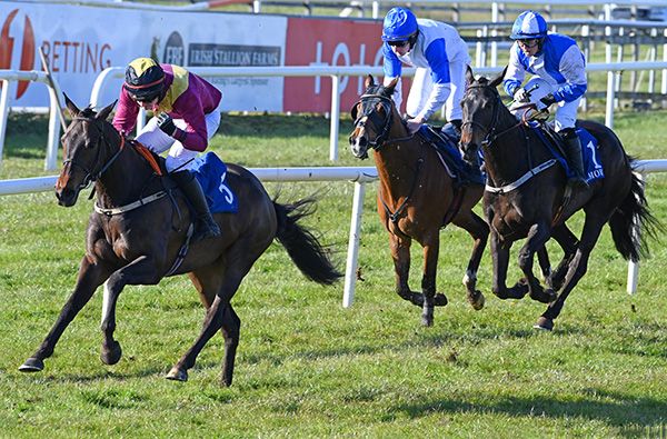 Just For You and James Murphy