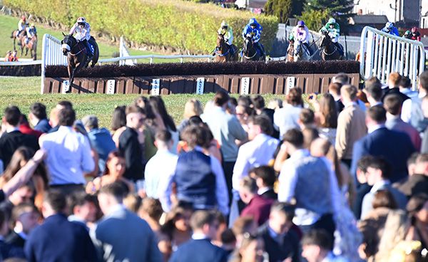 Lady Bluebird jumps the last with a clear advantage 