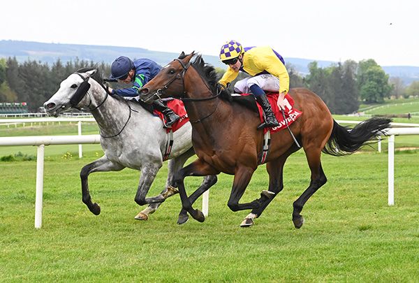 Perisher and Declan McDonogh (far side) beat Alphonsus Liguori 