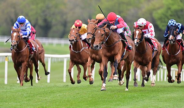 Chirac and Ronan Whelan lead them home