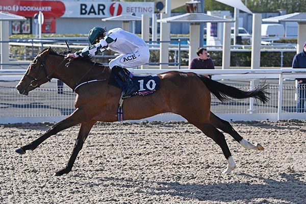 Real Encounter and Shane Foley